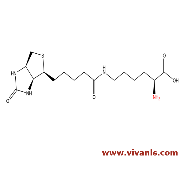 Standards-Biocytin-1661855177.png