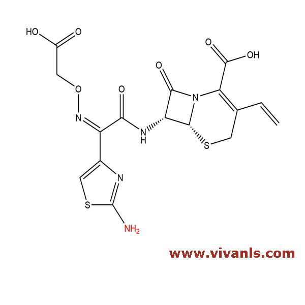 Standards-Cefixime-1661427434.png