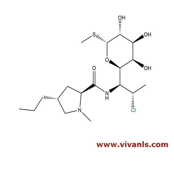 Standards-Clindamycin-1661430009.png