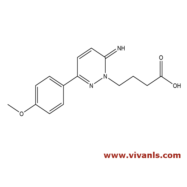 Standards-Gabazine-1662015530.png