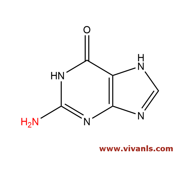 Standards-Guanine-1662016616.png