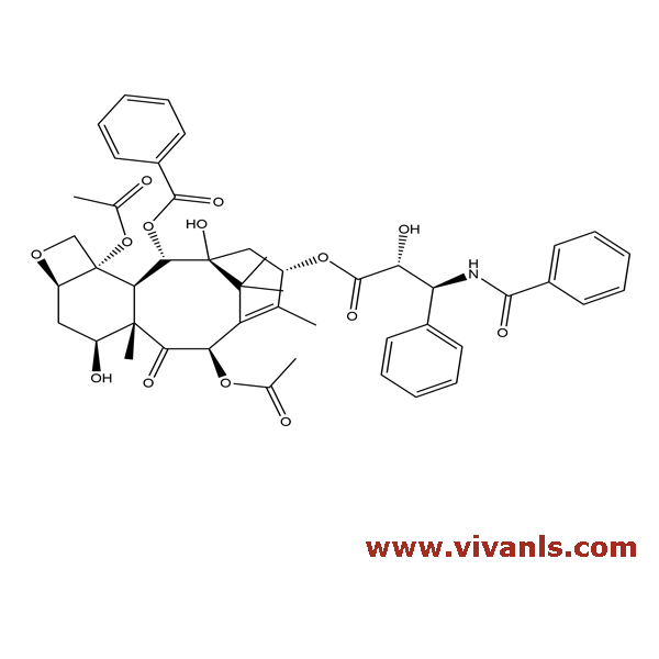 Standards-Paclitaxel-1661765856.png